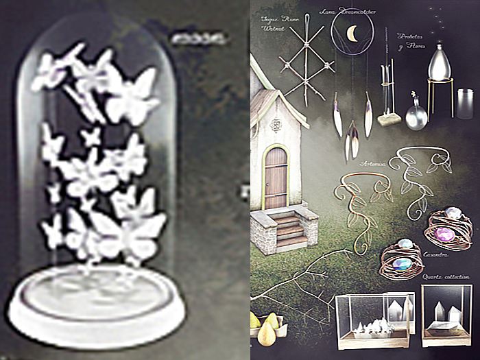SPELL : Butterflies towards the moon