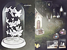 SPELL : Butterflies towards the moon