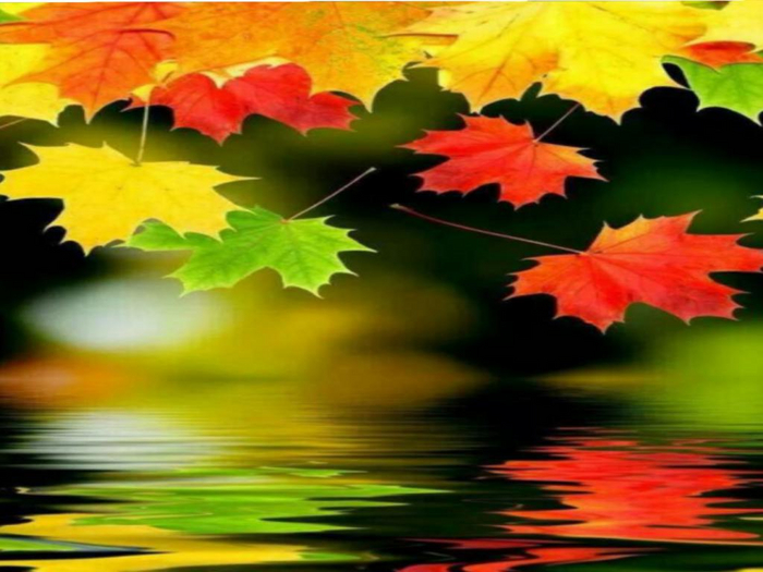 Fall Reflections Texture