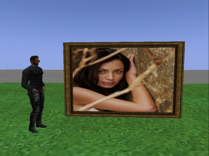Beautiful picture with frame - sensual girl V1