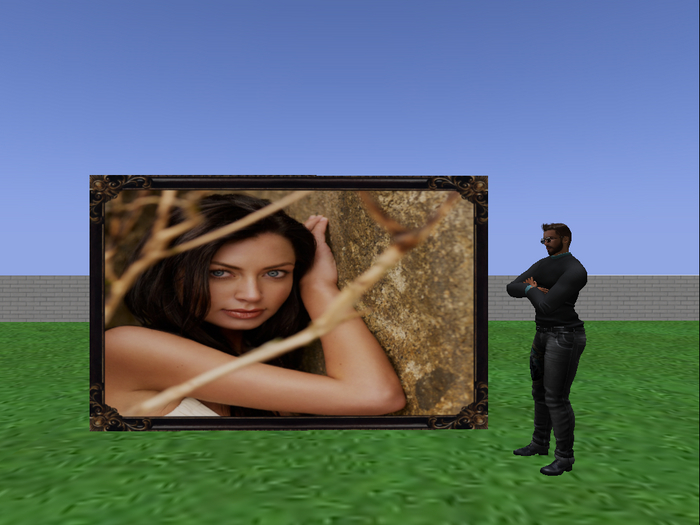Beautiful picture with frame - sensual girl V2