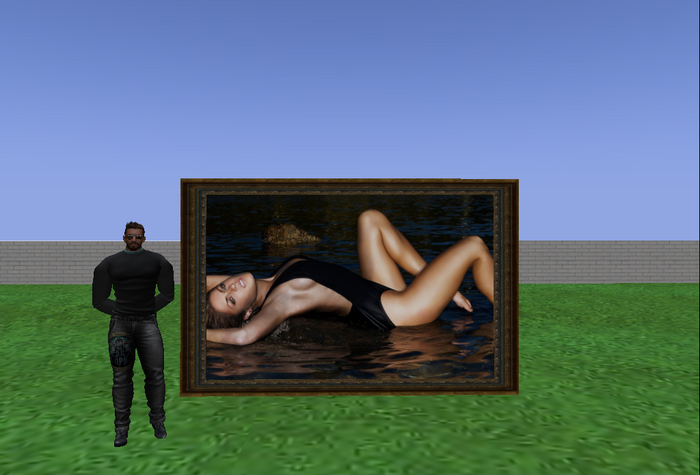 Beautiful picture with frame - girl on the sea V1