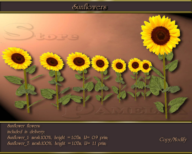 Sunflowers (BOX)