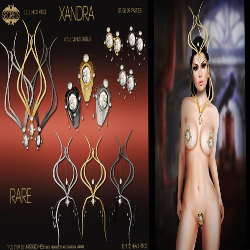 -SECRETS- Xandra Neck Piece - Silver