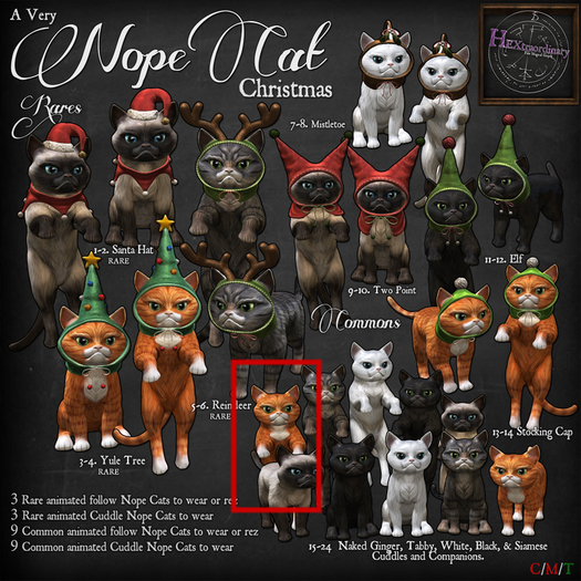 *HEXtraordinary* Nope Cat - Ginger Cuddle