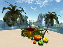 RW - Tropical Halloween Pumpkin Scarecrow Palms *Paukena* c/m