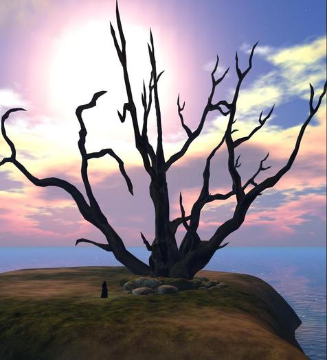 Giant tree 5.naked  14 prims only mod and copy