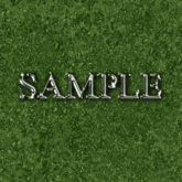 Zoy Texture [ Realistic Dirt 02 ] Seamless - Forest