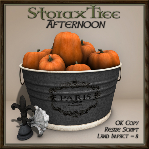 Afternoon Pumpkin Basin B