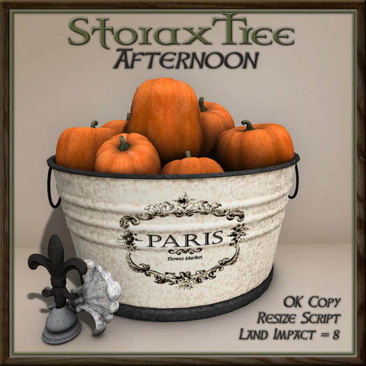 Afternoon Pumpkin Basin A