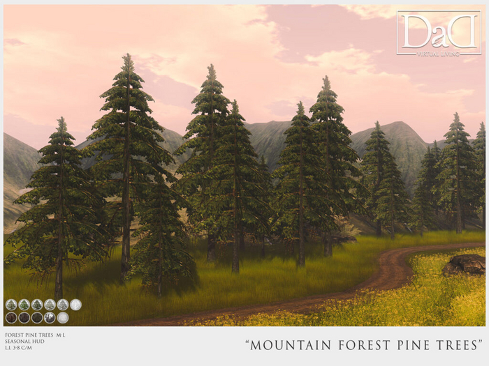 DaD - Mountain Forest Pine Trees