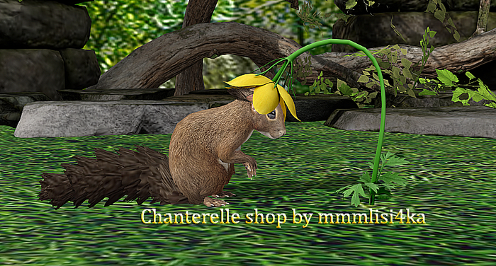 03-Mutresse-Fluffy Squirrels