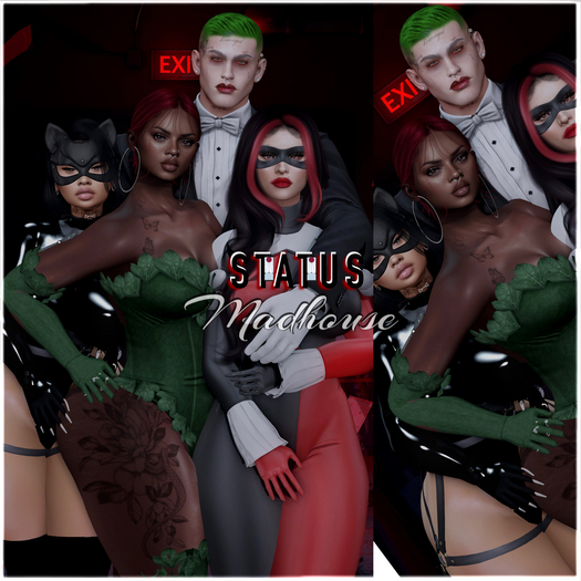 STATUS ~ Madhouse