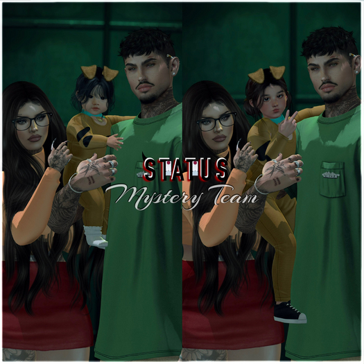 STATUS ~ Mystery Team