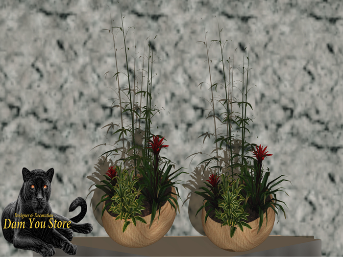 Cest  plants elegance