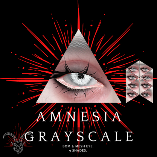 Anima Vestra *AMNESIA EYES* Grayscale