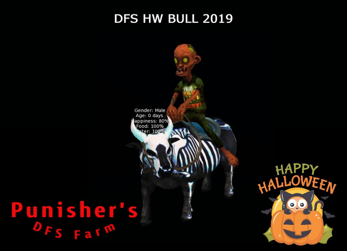 DFS HW Bull 2019