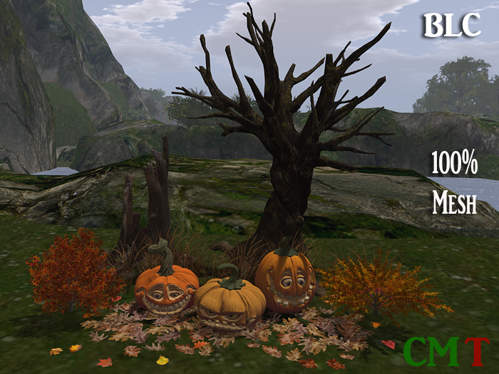 BLC creepy pumpkins 3