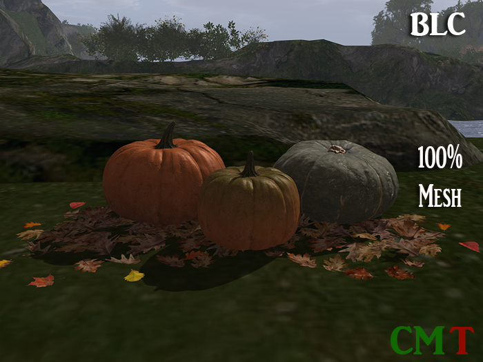 BLC  pumpkin trio
