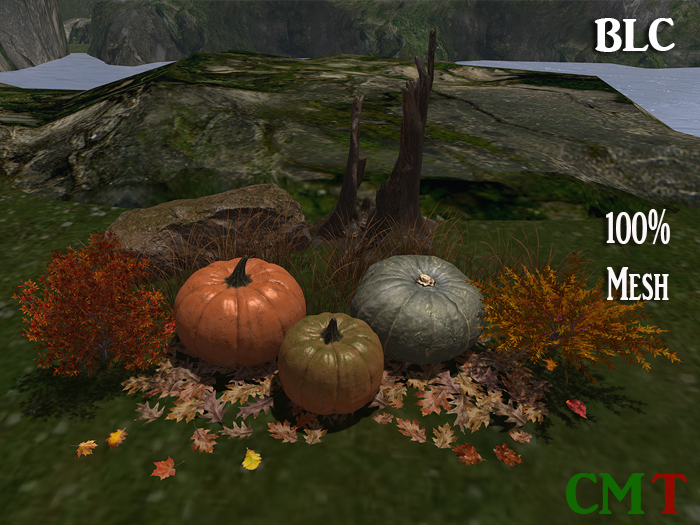 BLC pumpkin trio 2