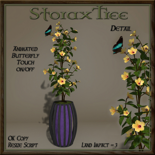 Dark Beauty Planter C16