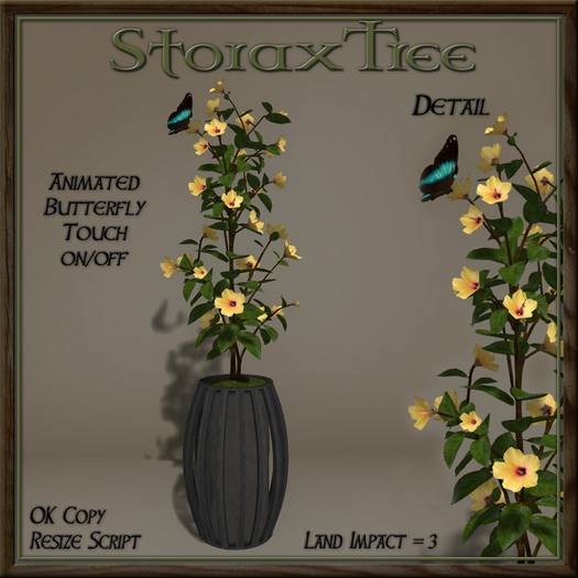 Dark Beauty Planter C15