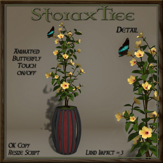 Dark Beauty Planter C12