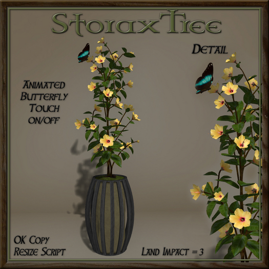 Dark Beauty Planter C11