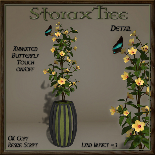 Dark Beauty Planter C7