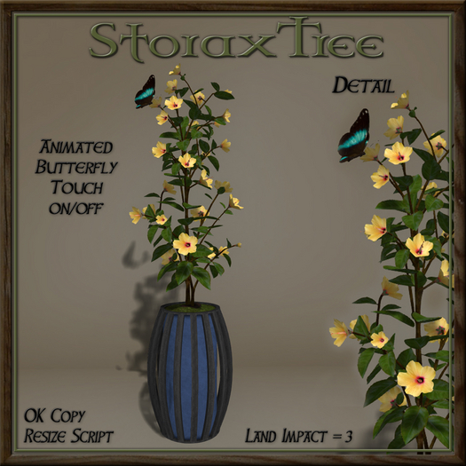 Dark Beauty Planter C6