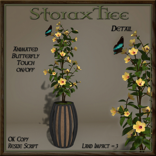 Dark Beauty Planter C4