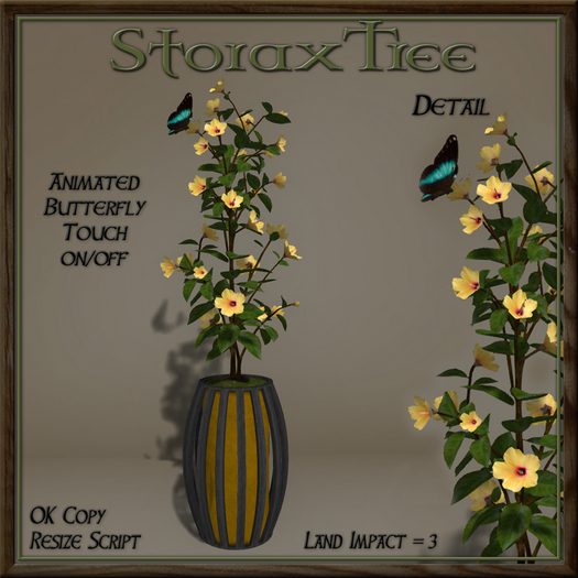 Dark Beauty Planter C3