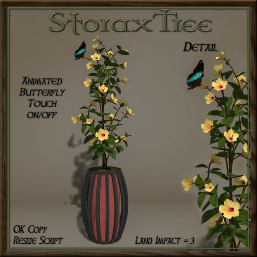 Dark Beauty Planter C1