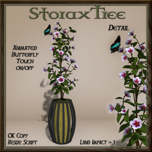 Dark Beauty Planter B17