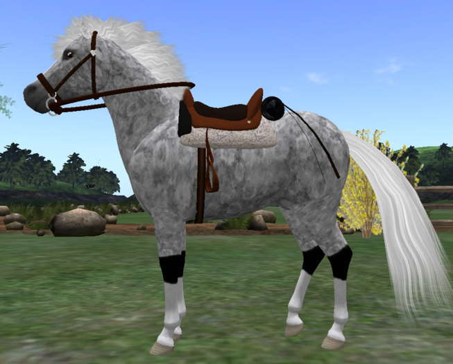 PONY  Silver DAPPLE Spiritus III  Pony