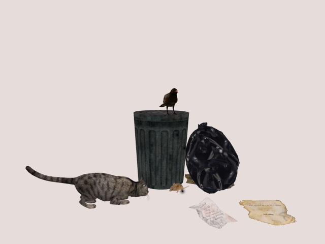 Trash with Cat and Mouse