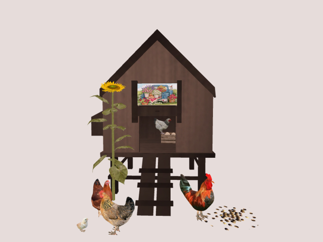 Chicken Coop
