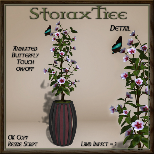 Dark Beauty Planter B10