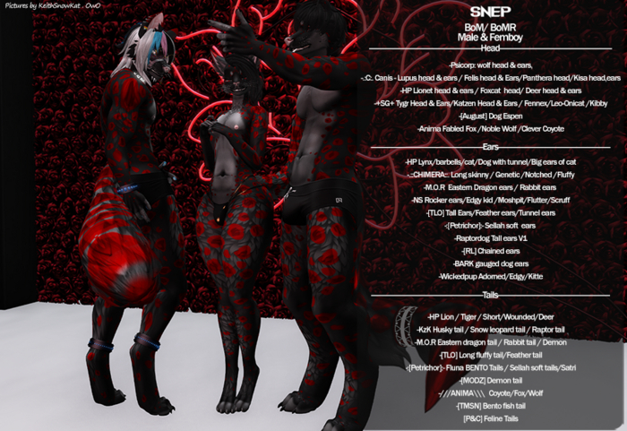 Kat Klaws -Snep- Demon m & Femboy BoM/BoMR