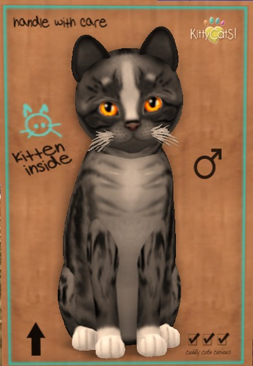 KittyCatS Box - Genesis - Smokey IV Size: Normal