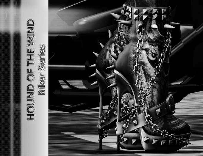 Exc-119 Biker Series-HOUNDOF THE WIND-BOOTS DEMO