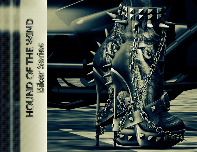 Exc-120 Biker Series-HOUNDOF THE WIND-BOOTS
