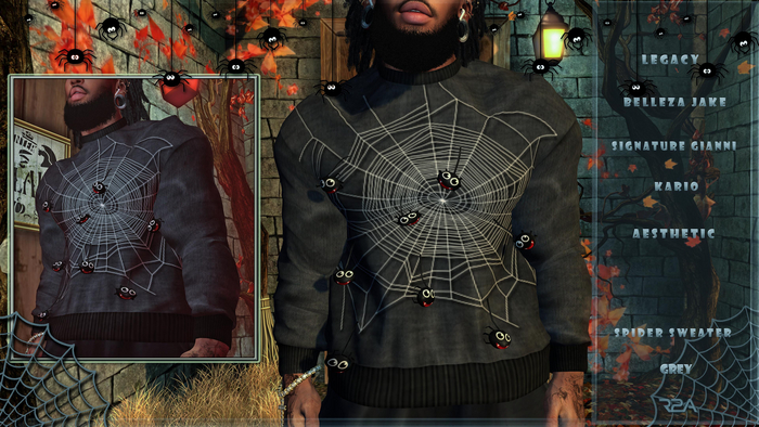 R2A-SPIDER SWEATER GREY