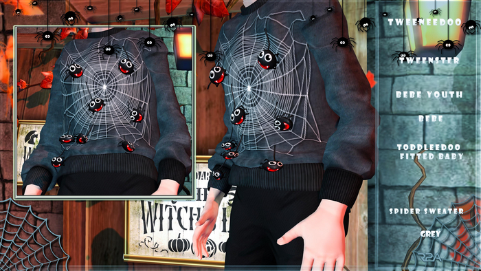R2A-KIDS SPIDER SWEATER GREY
