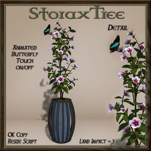 Dark Beauty Planter B8