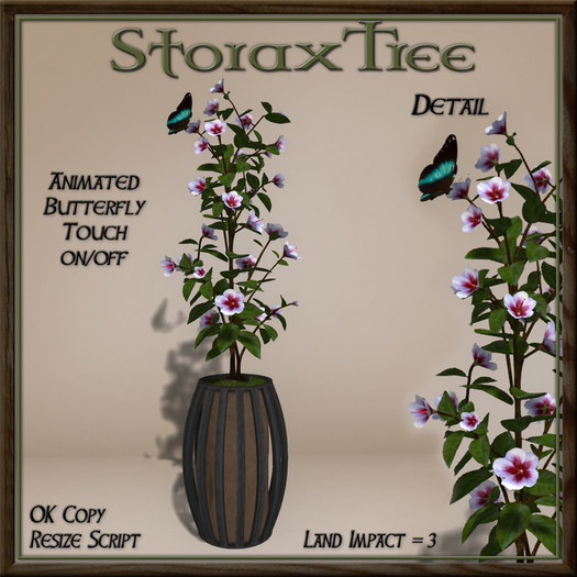 Dark Beauty Planter B2