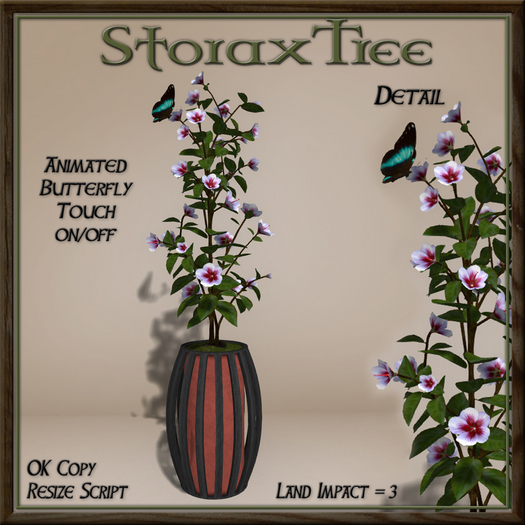 Dark Beauty Planter B1