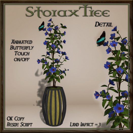 Dark Beauty Planter A17