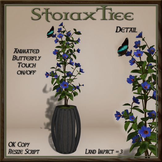 Dark Beauty Planter A15
