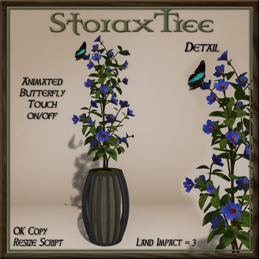 Dark Beauty Planter A11